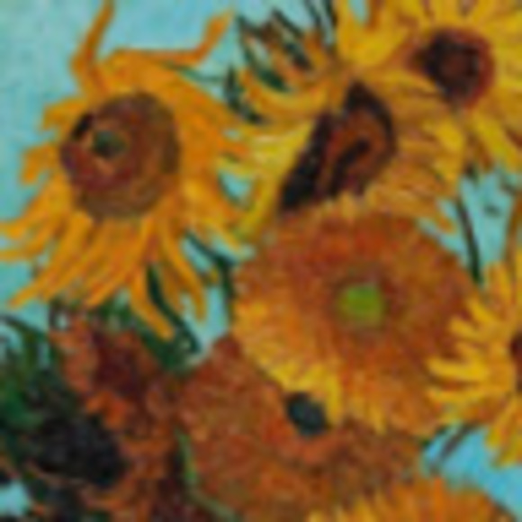 Meet your Posher, Shae - Picture 1 of 1